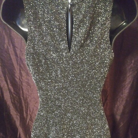 Shimmery Short Body Dress - Picture 6 of 6
